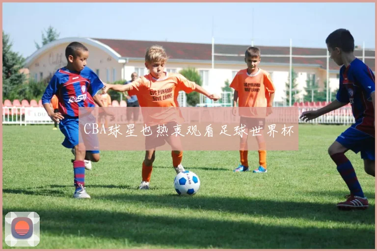 CBA球星也热衷观看足球世界杯