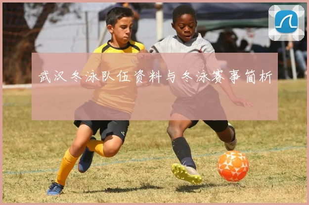 武汉冬泳队伍资料与冬泳赛事简析